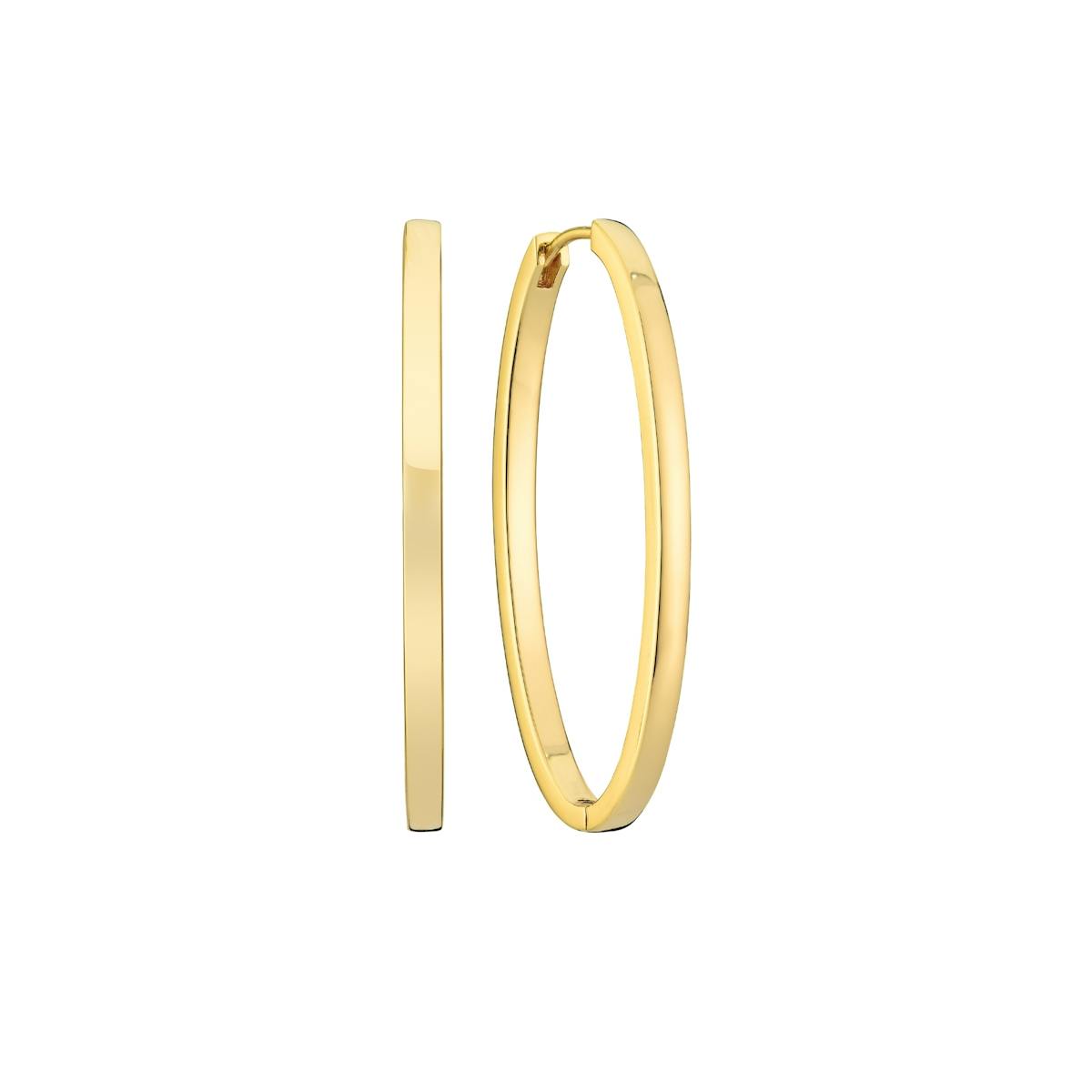 Ellisse Pianura Medio Earrings