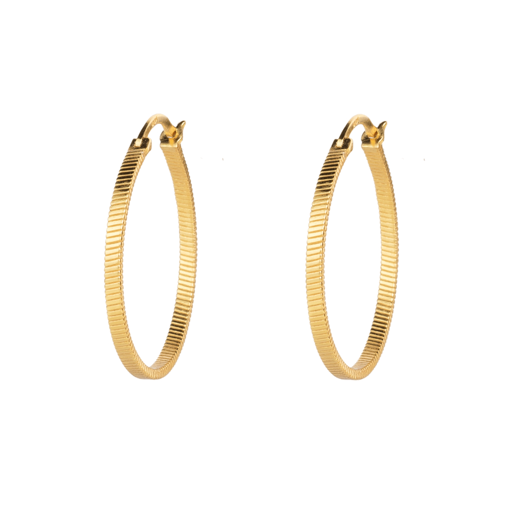 Fortune Teller Creol Earrings Large