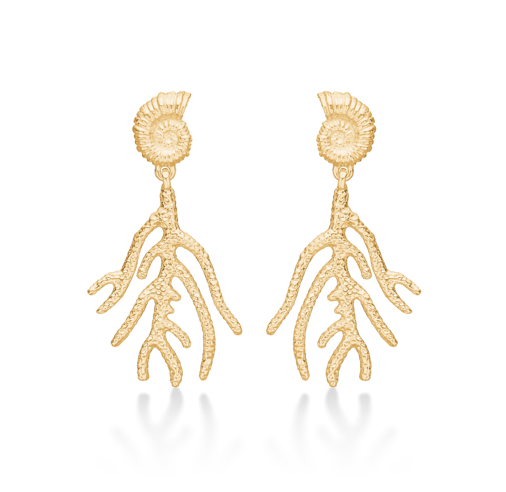 Seashell Secrets Earrings