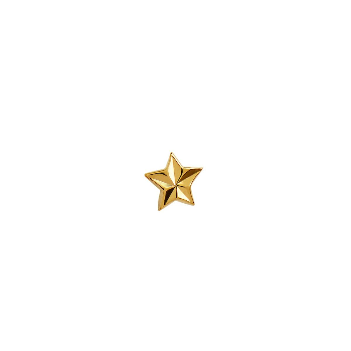 Star Etoile Earring