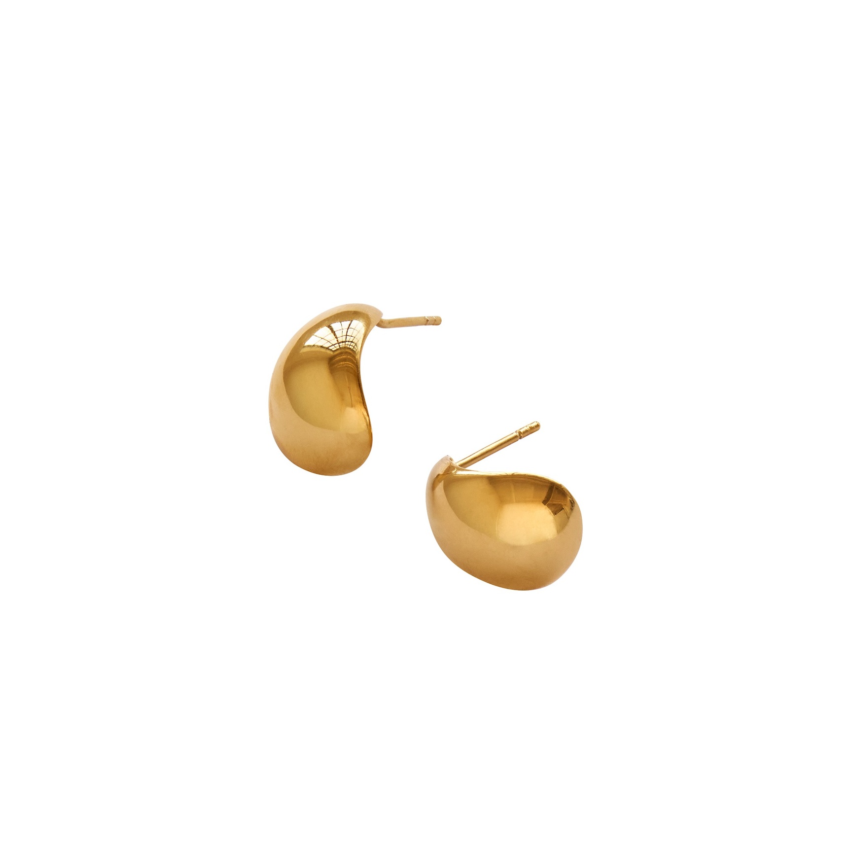 Oyster Earring