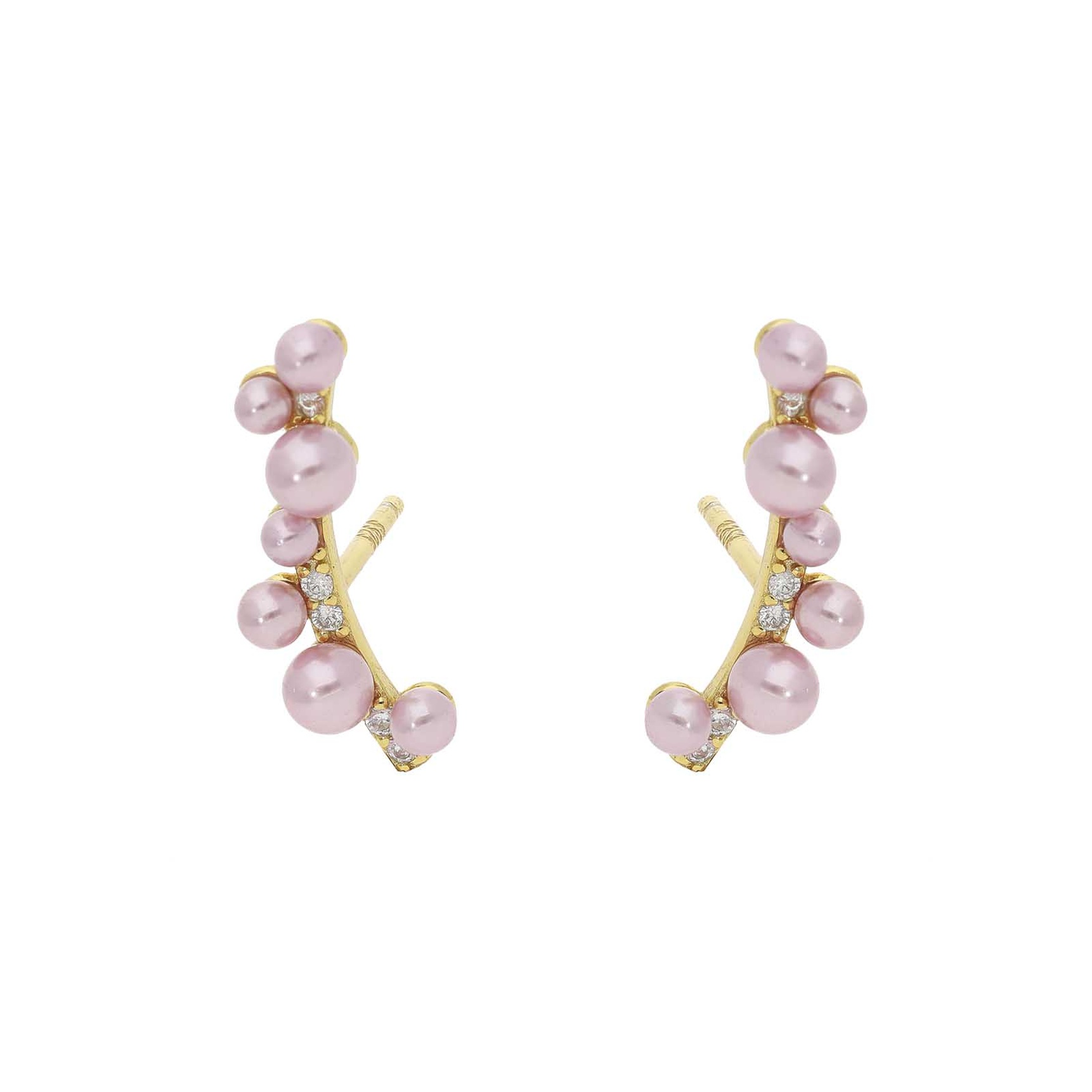 Philadelphia Rose Earrings