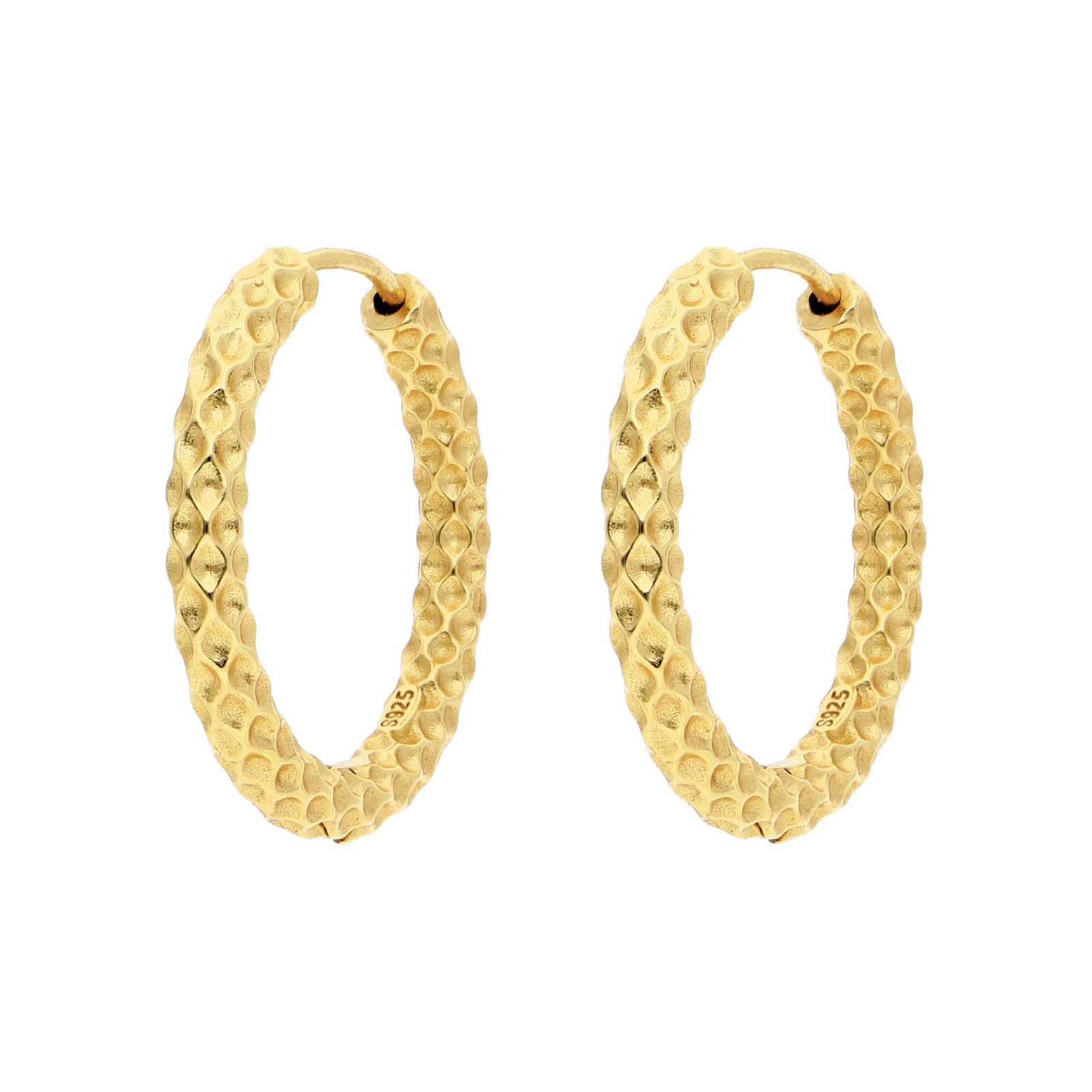 Sabrina Large Hoops