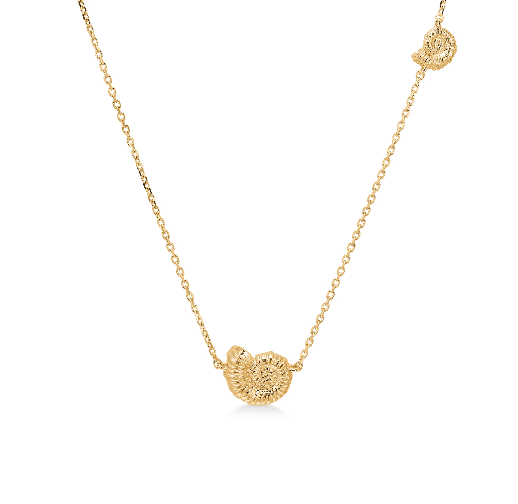 Seashell Secrets Double Pendant Necklace