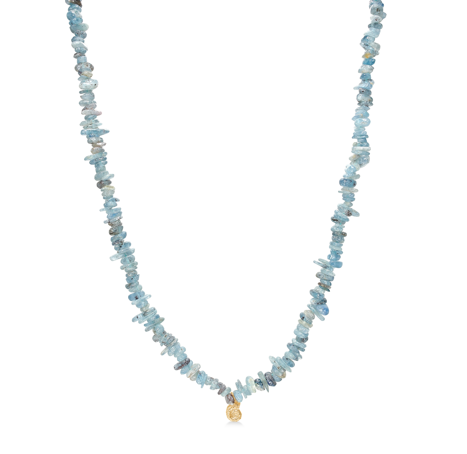 Seashell Secrets Kyanit Necklace