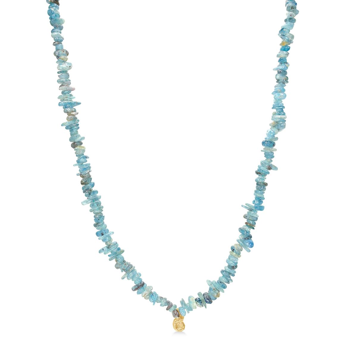 Seashell Secrets Kyanit Necklace