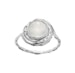 Couleur argent