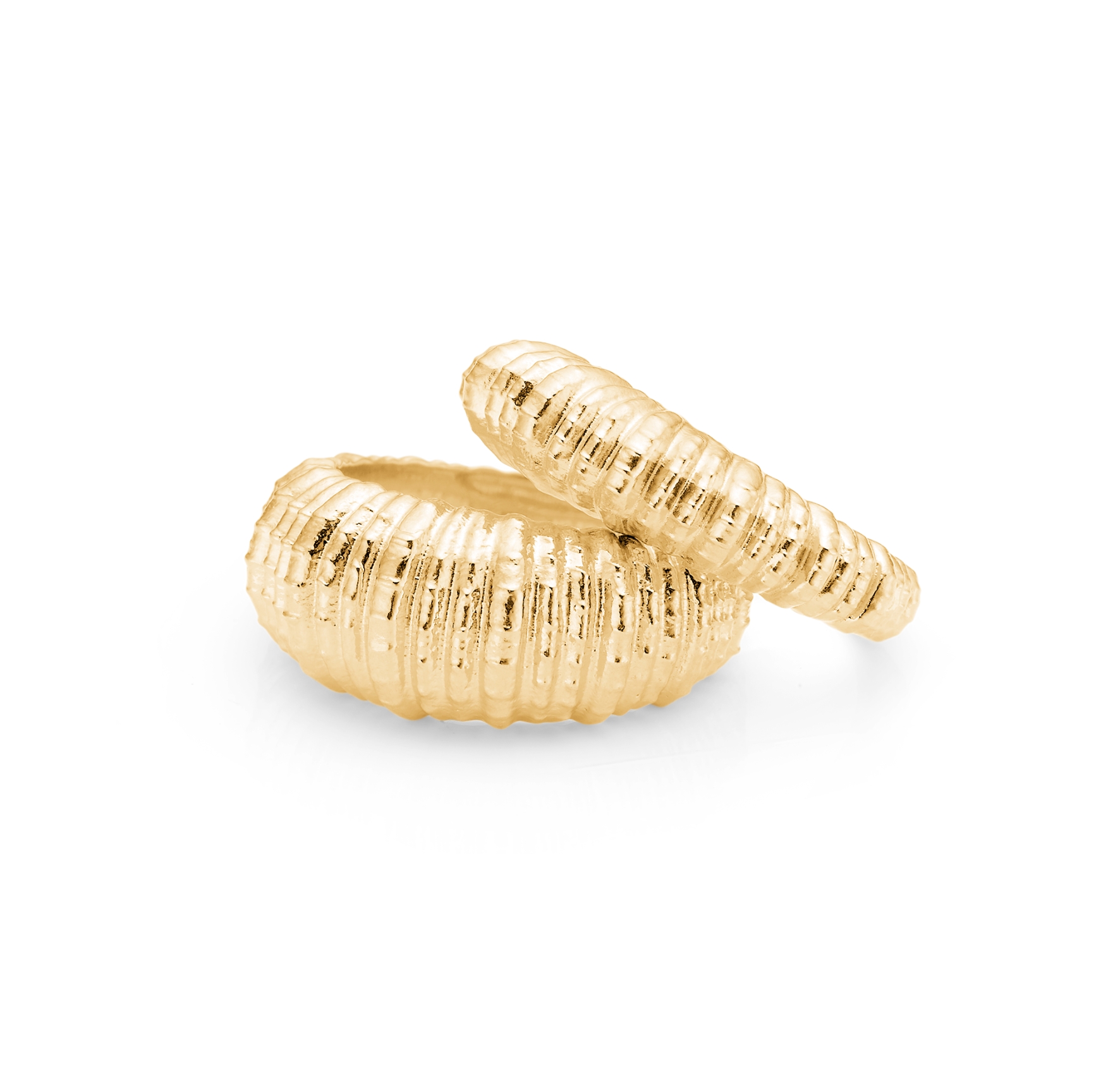 Seashell Secrets Small Ring