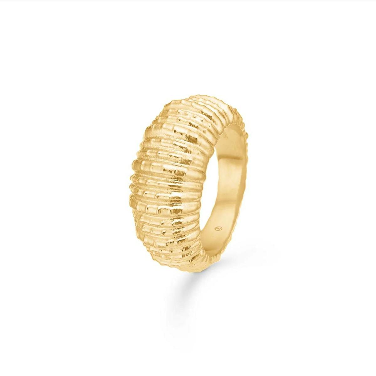 Seashell Secrets Large Ring