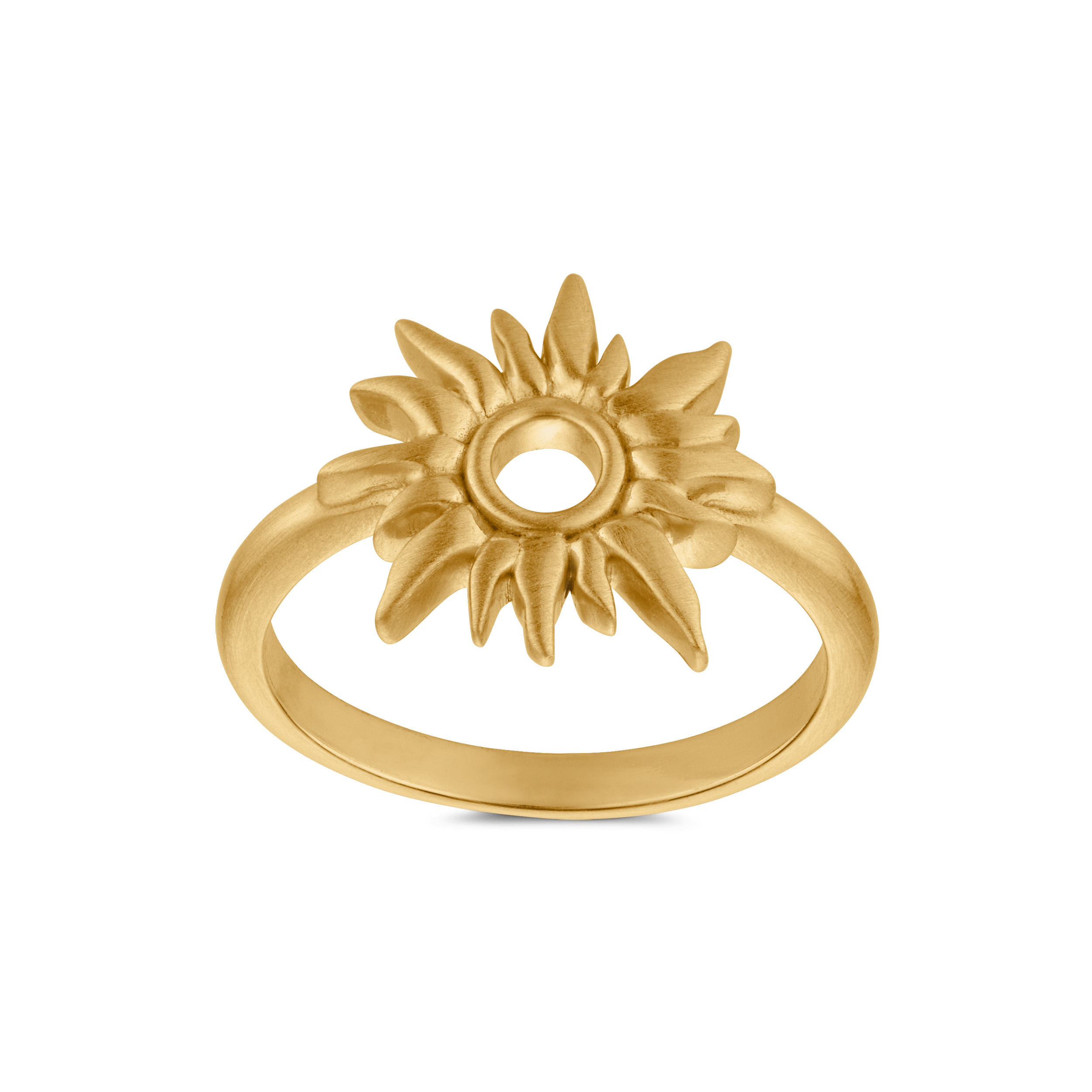 Sun Wild Ring - Gullfarge