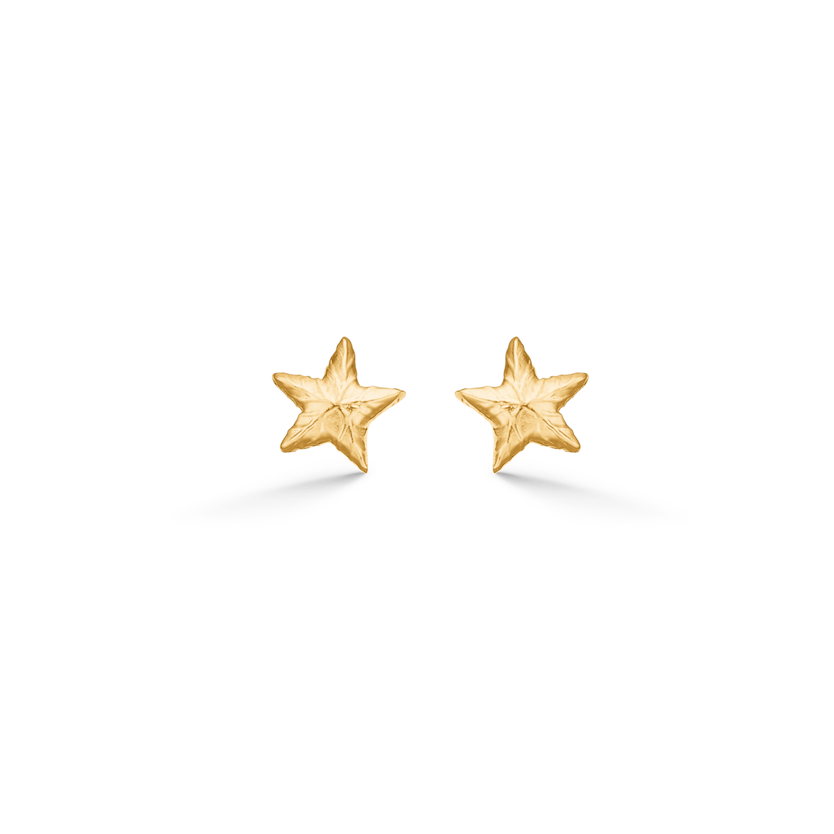 Shiny Star Earring