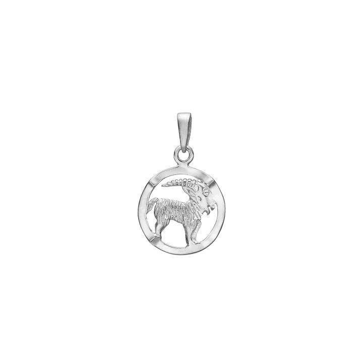 Capricorn Pendant