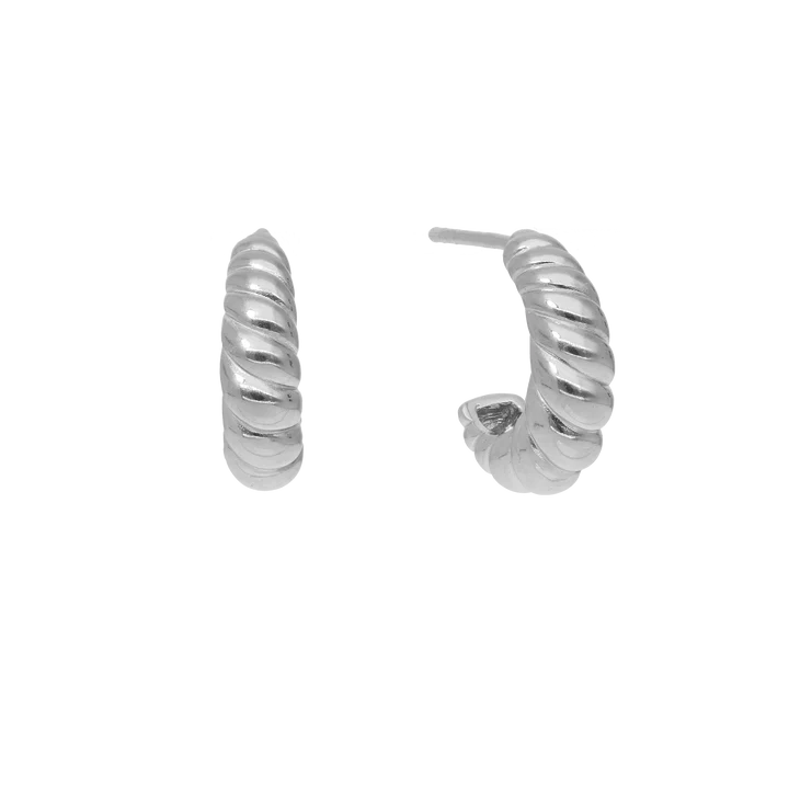 Seashell Hoop Earrings