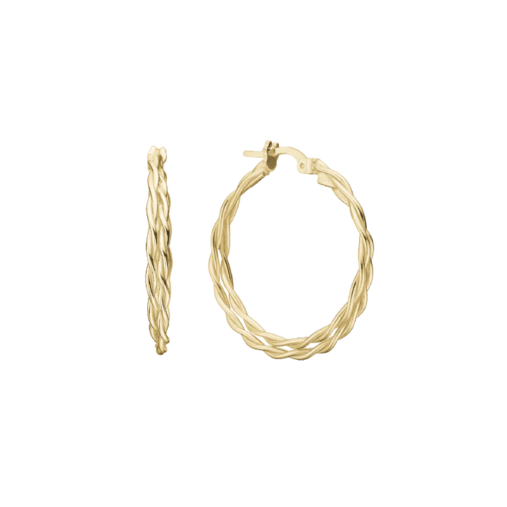 Double Twisted Hoop Earrings