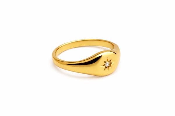 Ayo Copenhagen — Selene Signet Ring Ayo Copenhagen Selene Signet Ring — Ringer