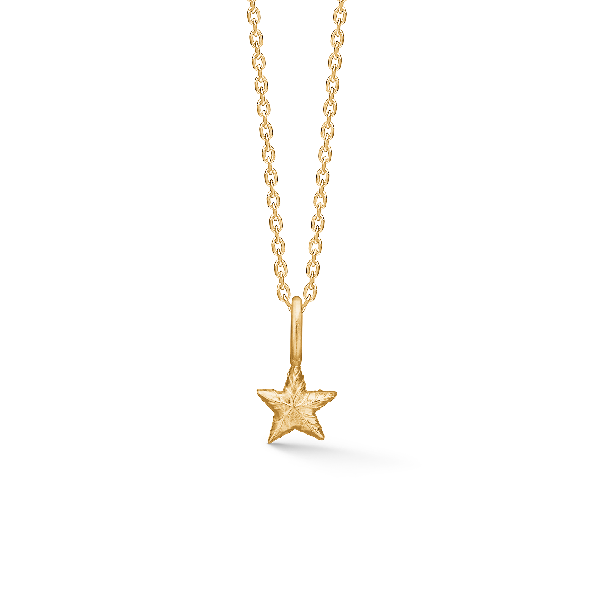 Studio Z Shiny Star Necklace — Halsketting