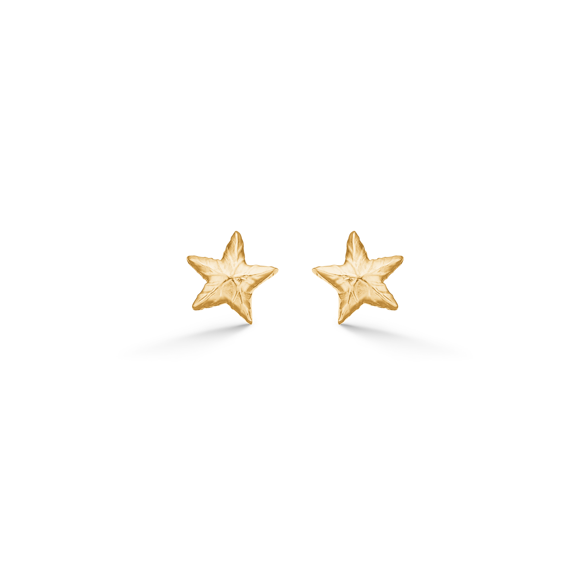 Studio Z Shiny Star Earring — Oorbel