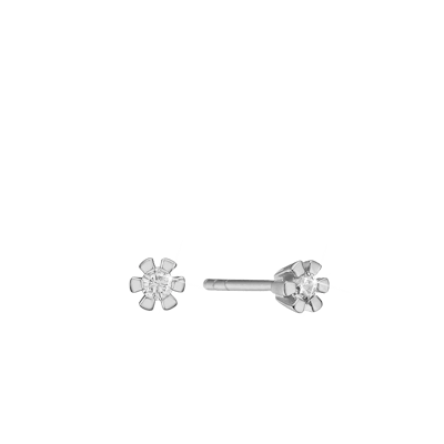 Eternity Diamond By Aagaard — Eternity Stud Earrings With 2x0.05ct W/SI Diamond 6c Eternity Diamond By Aagaard Eternity Stud Earrings With 2x0.05ct W/SI Diamond 6c — Korvakorut