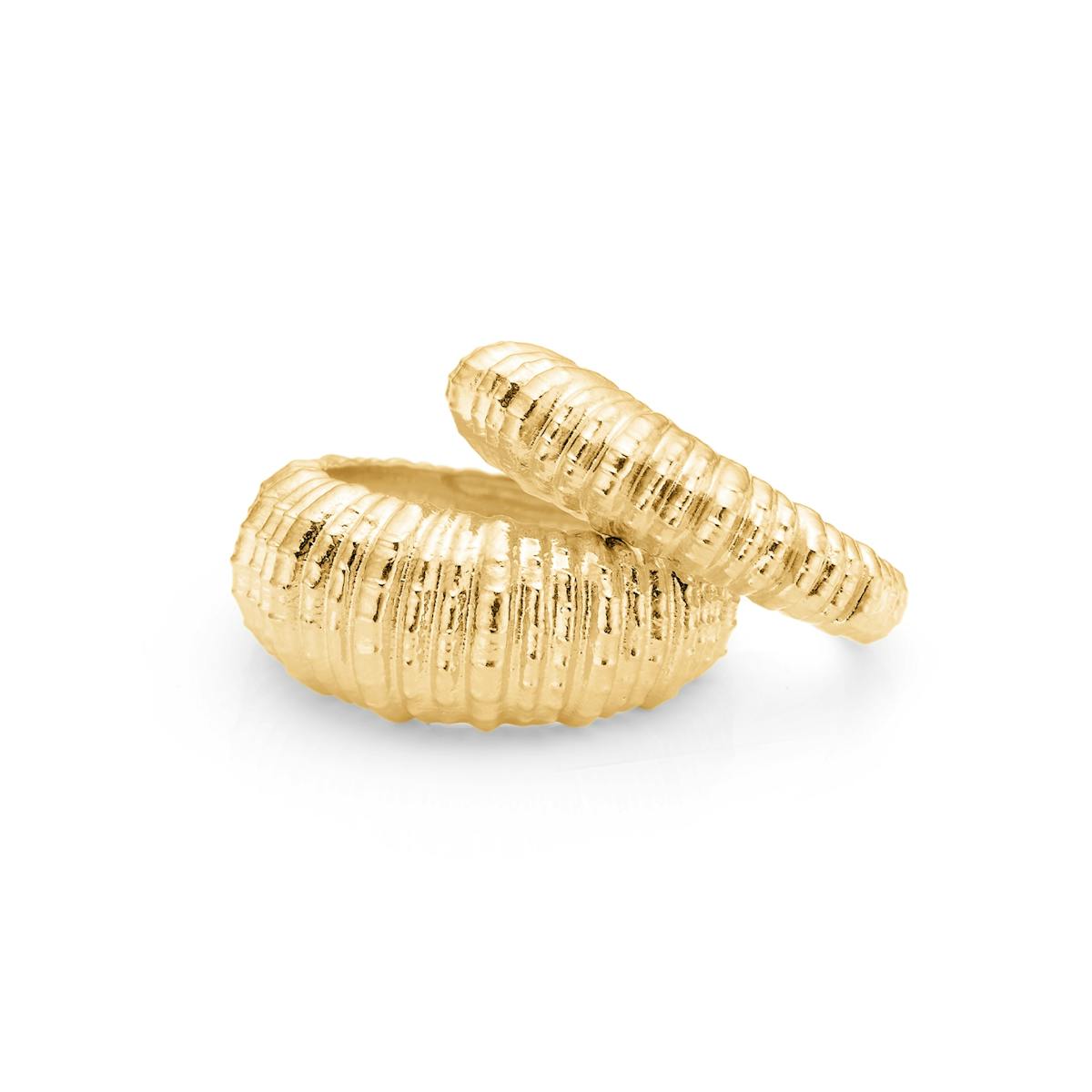 Studio Z — Seashell Secrets Large Ring Studio Z Seashell Secrets Large Ring — Ring
