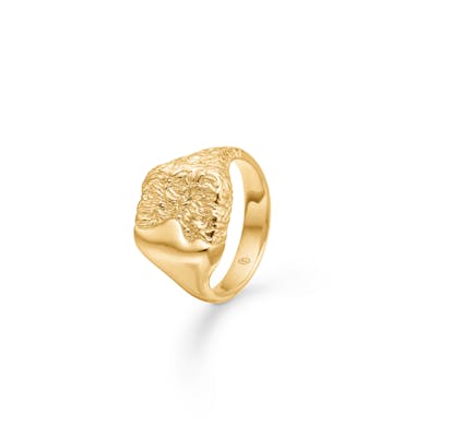 Studio Z — Edge Ring Studio Z Edge Ring — Ring