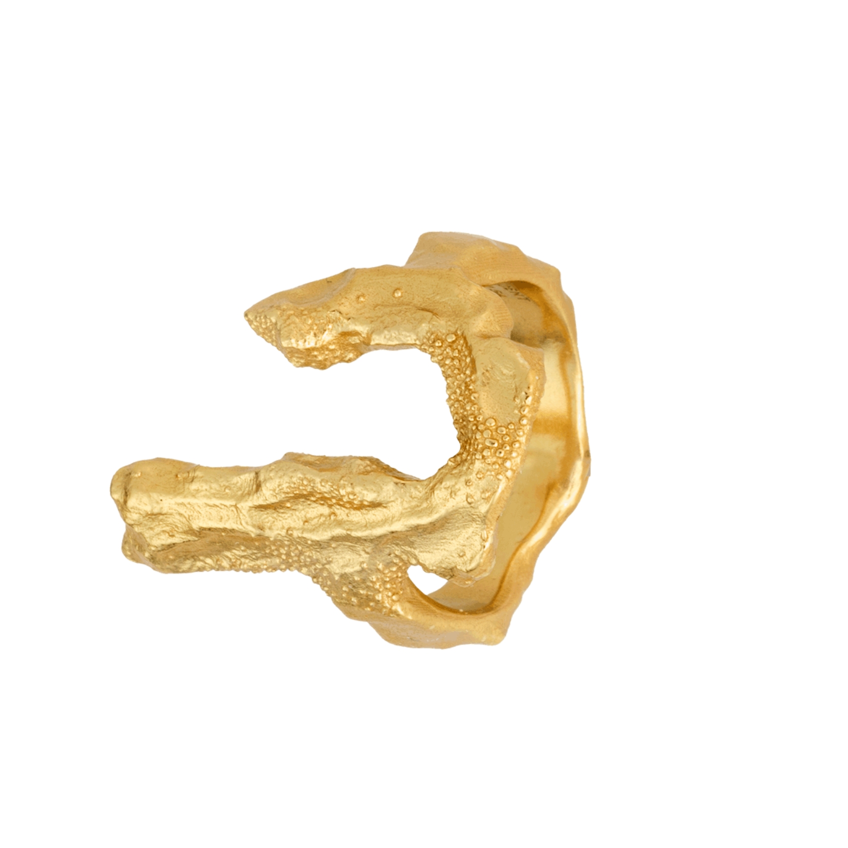House Of Vincent Bone Ring — Ring
