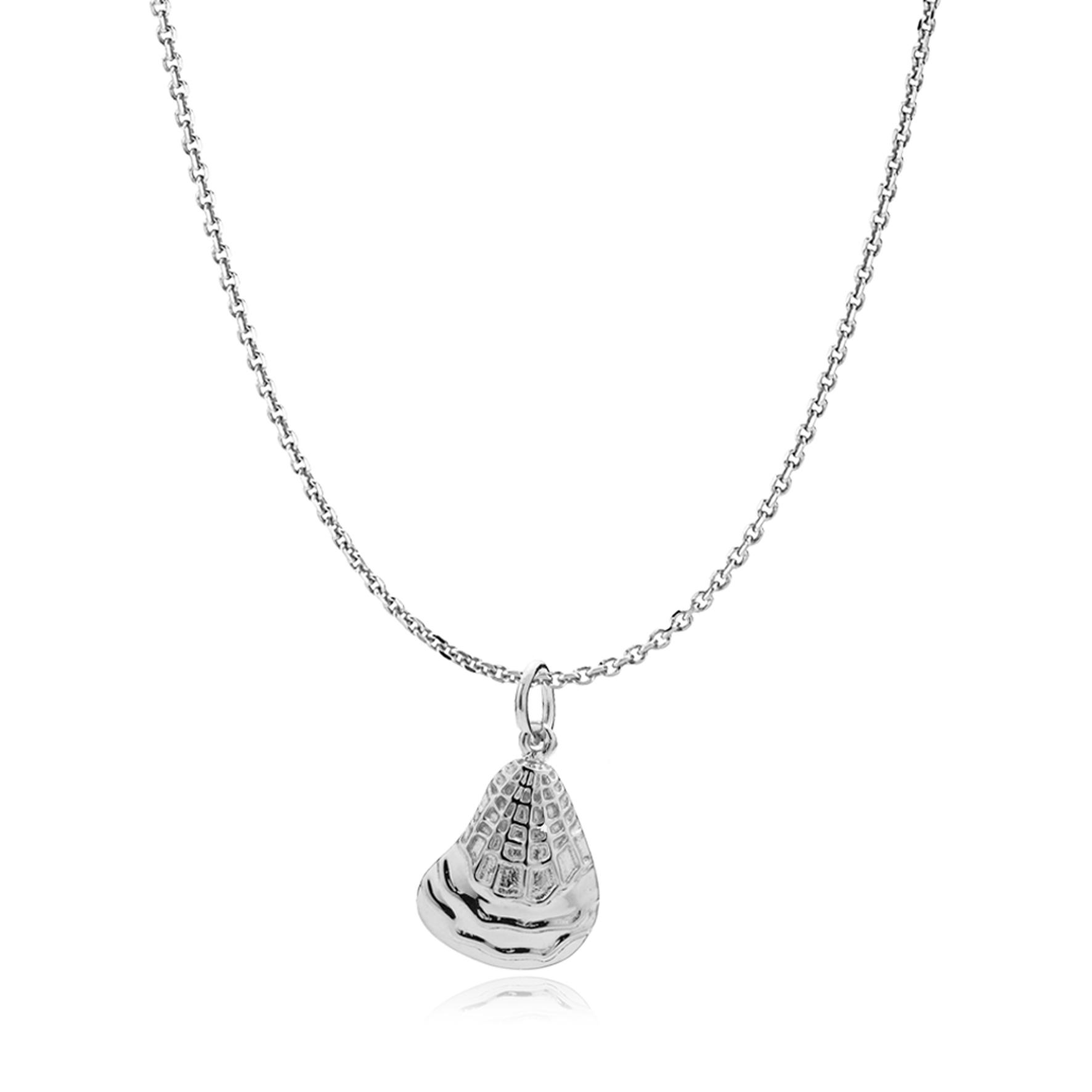 Silverfärg
