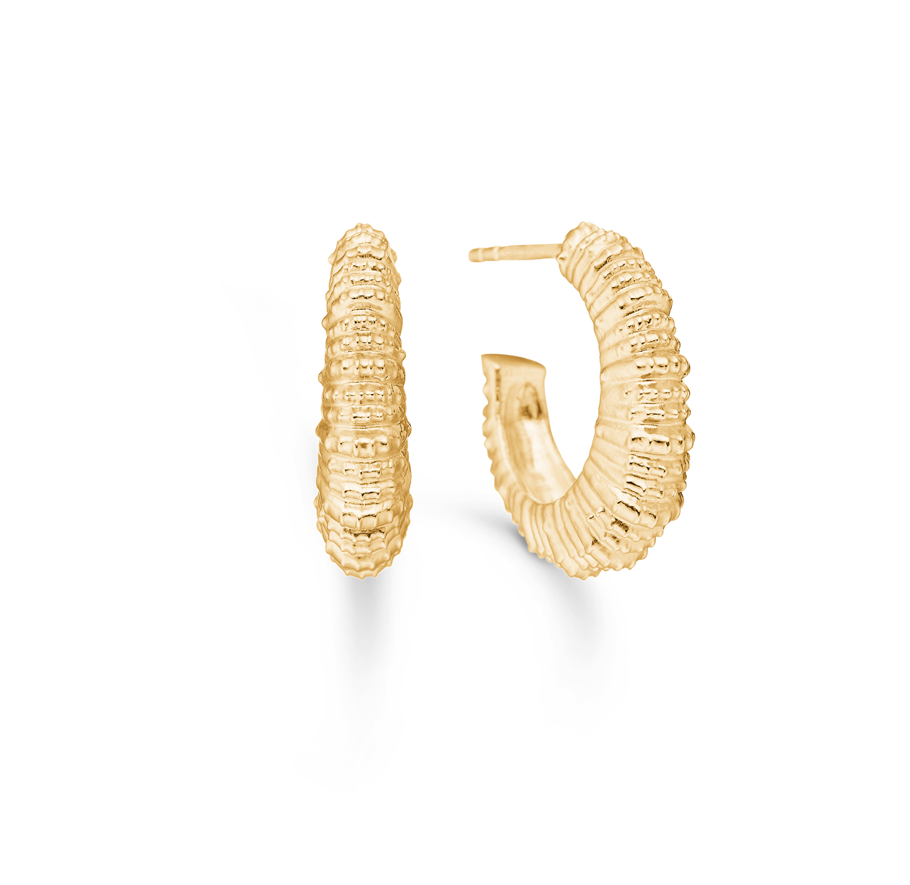 Studio Z Seashell Secrets Large Hoops — Örhängen