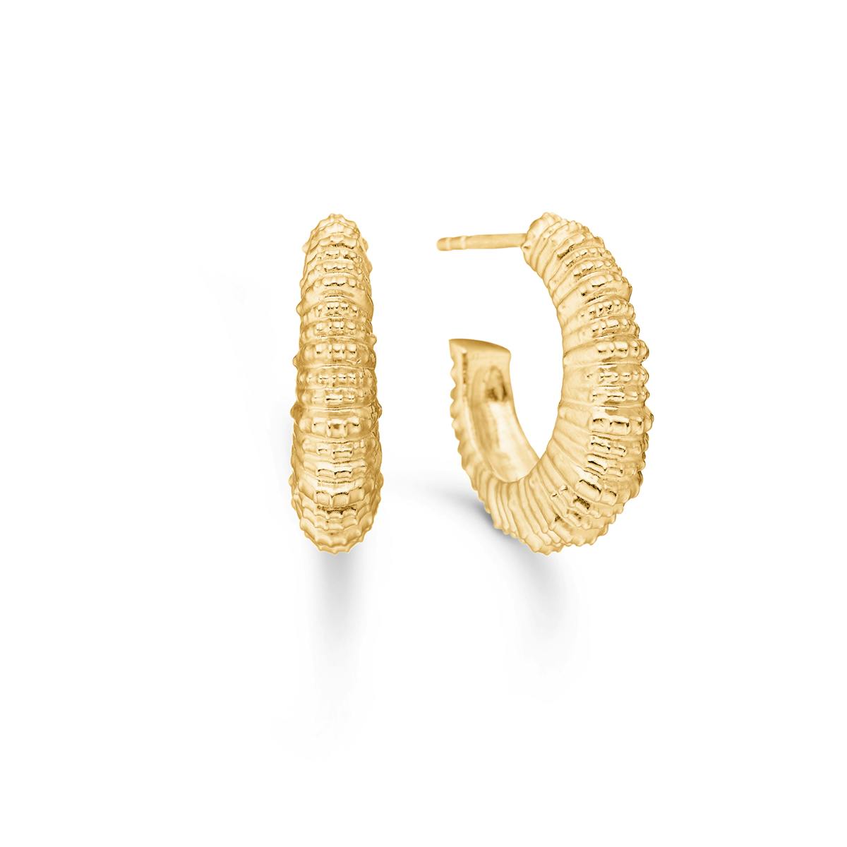 Studio Z — Seashell Secrets Large Hoops Studio Z Seashell Secrets Large Hoops — Earrings