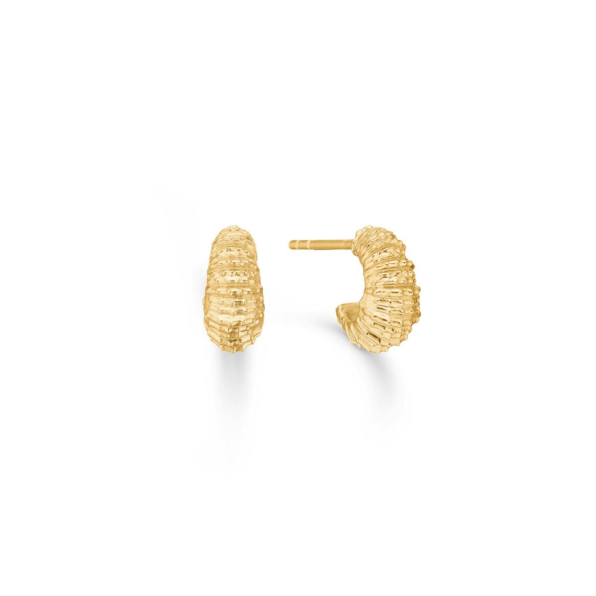 Studio Z — Seashell Secrets Small Hoops Studio Z Seashell Secrets Small Hoops — Øreringer