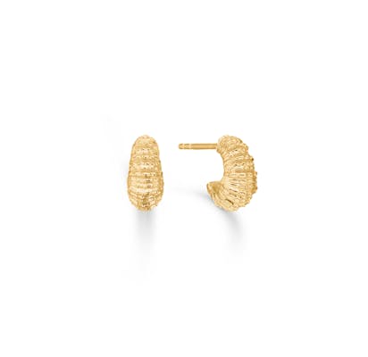 Studio Z — Seashell Secrets Small Hoops Studio Z Seashell Secrets Small Hoops — Boucle d'oreille