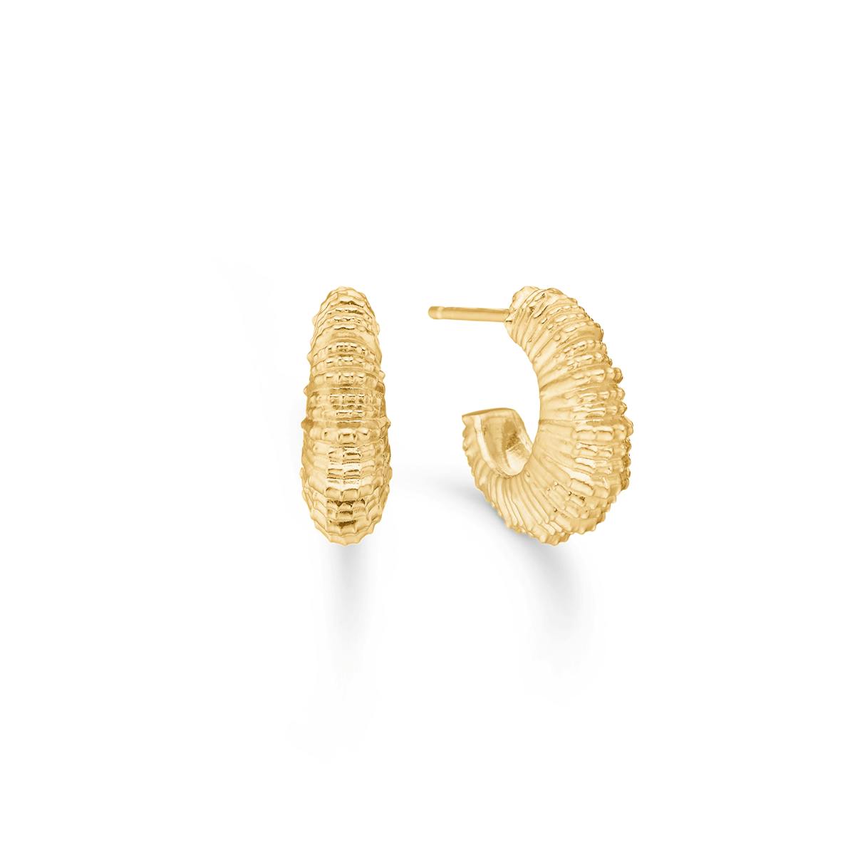 Studio Z — Seashell Secrets Medium Hoops Studio Z Seashell Secrets Medium Hoops — Earrings