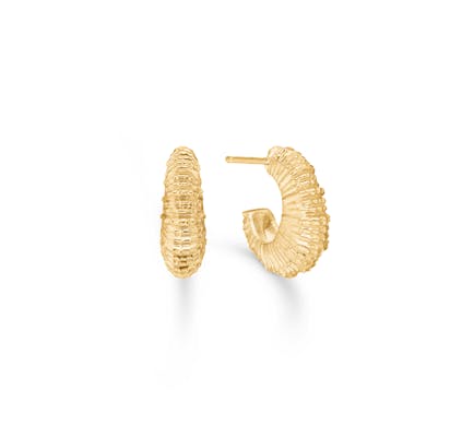 Studio Z — Seashell Secrets Medium Hoops Studio Z Seashell Secrets Medium Hoops — Boucle d'oreille