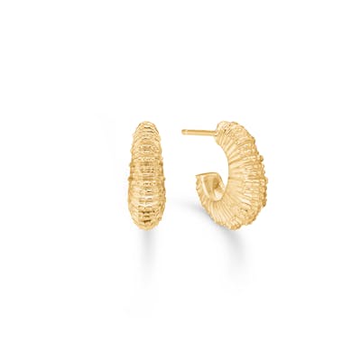 Studio Z — Seashell Secrets Medium Hoops Studio Z Seashell Secrets Medium Hoops — Øreringe