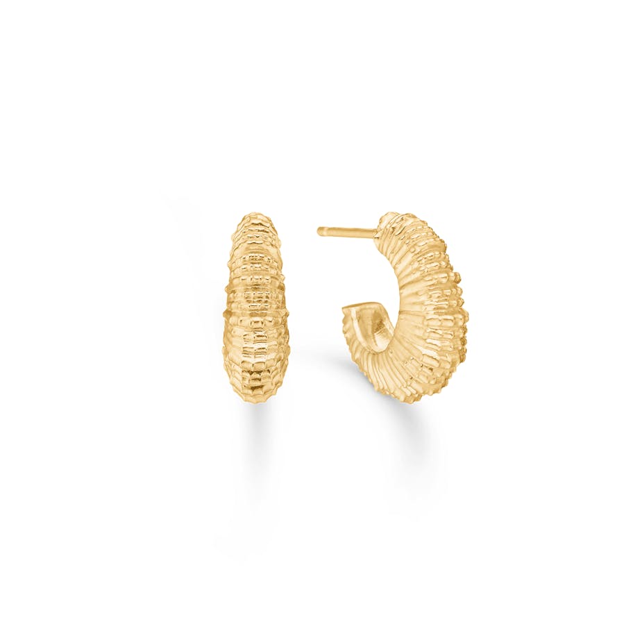 Studio Z — Seashell Secrets Medium Hoops Studio Z Seashell Secrets Medium Hoops — Earrings