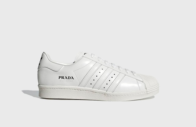 Prada x adidas Superstar "Cloud White"