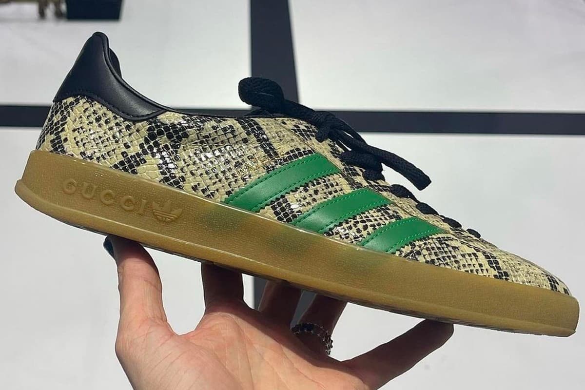 adidas Gazelle x Gucci 