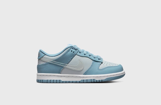 Nike Dunk Low PS "Worn Blue"