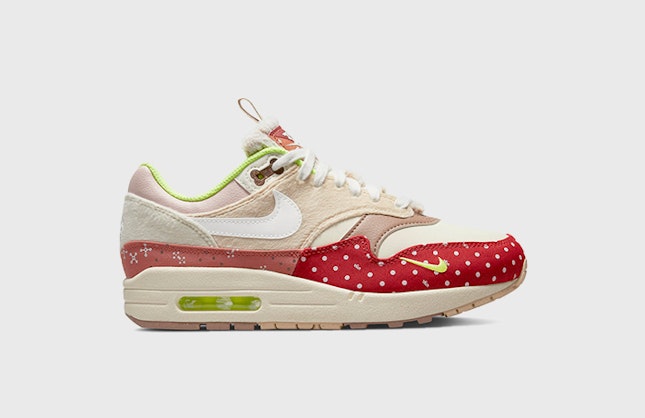Nike Air Max 1 PRM "Best Friend"