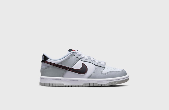 Nike Dunk Low GS "Lottery" (Grey Fog)