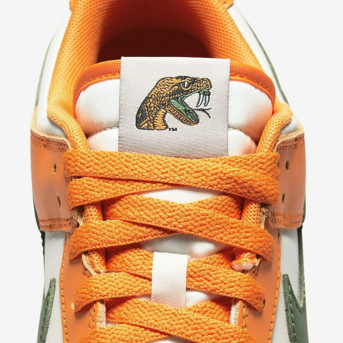 Nike Dunk Low "Florida A&M"