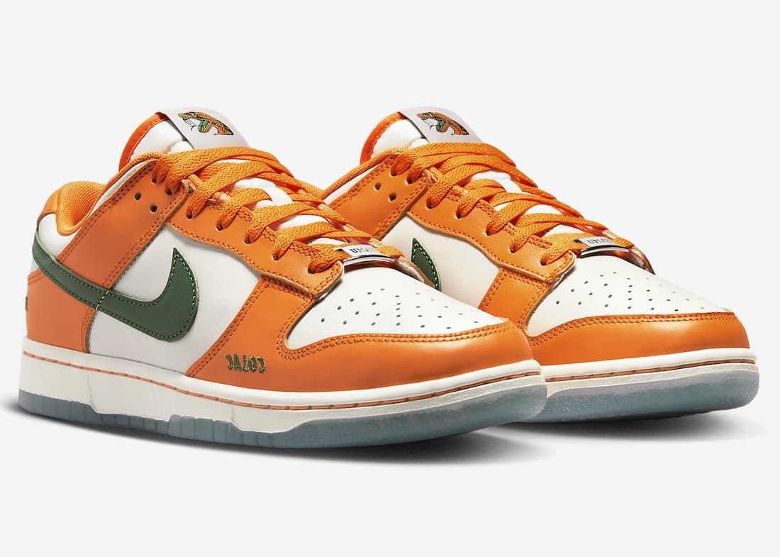 Nike Dunk Low "Florida A&M"