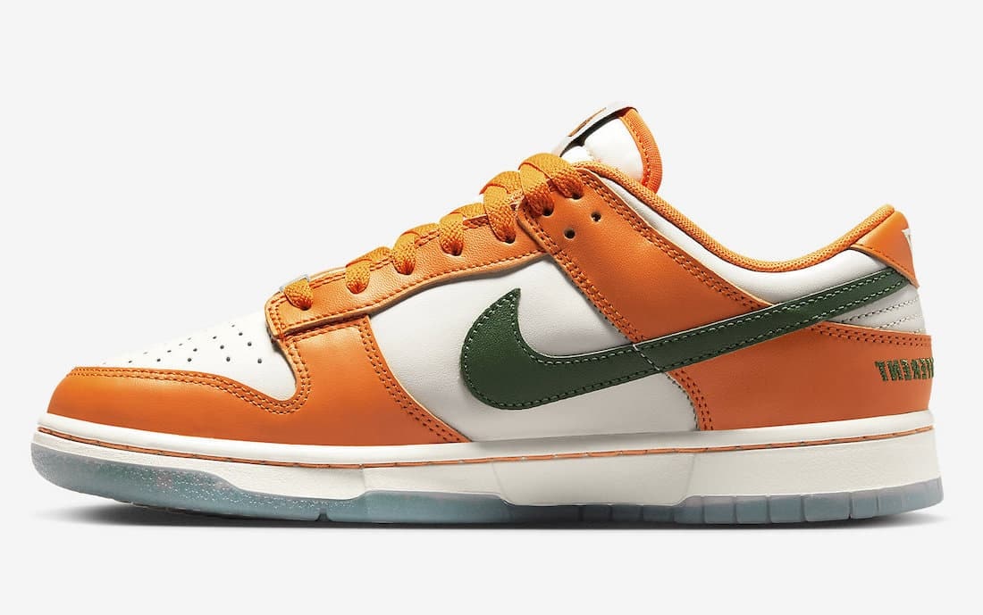 Nike Dunk Low "Florida A&M"