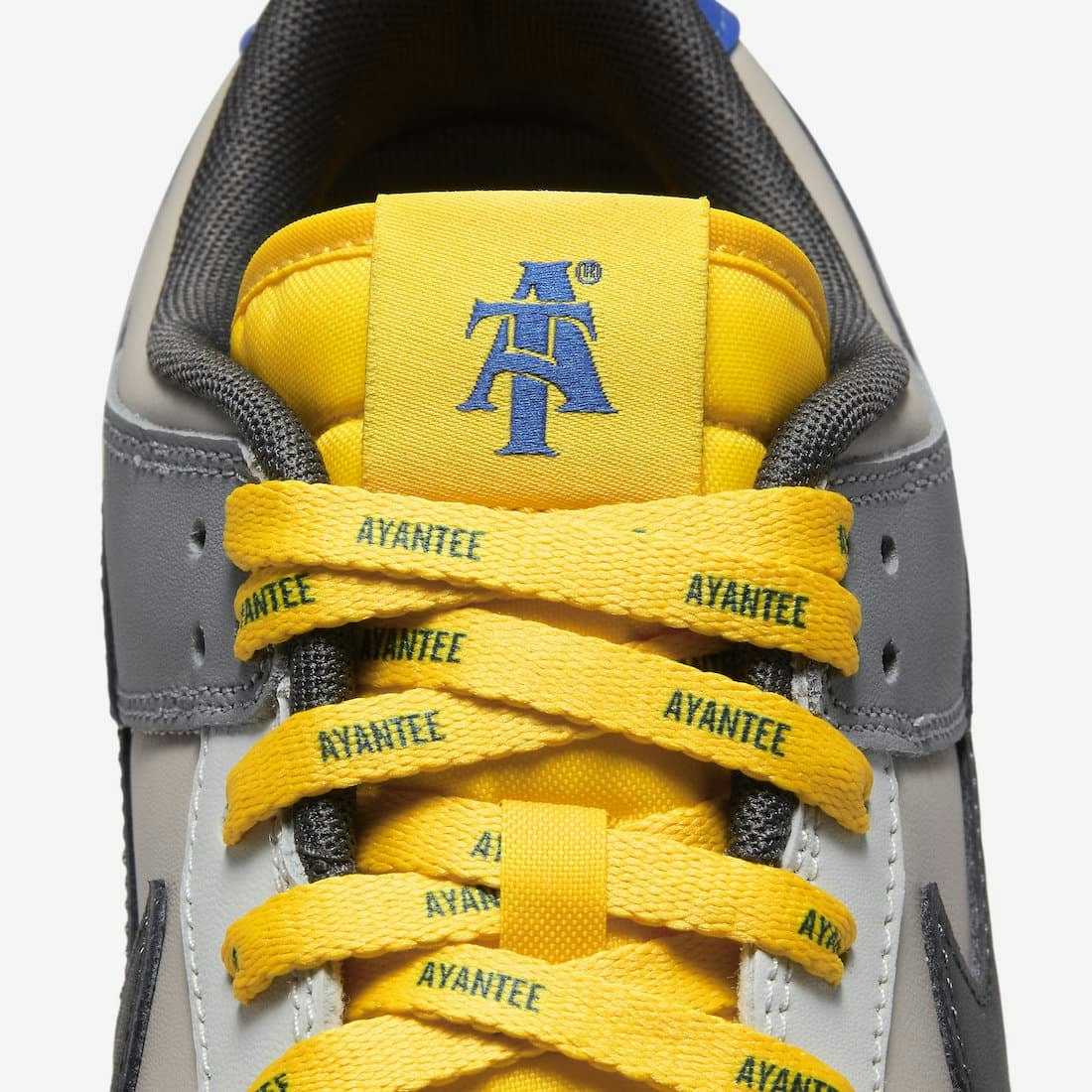 North Carolina A&T x Nike Dunk Low "Ayantee"