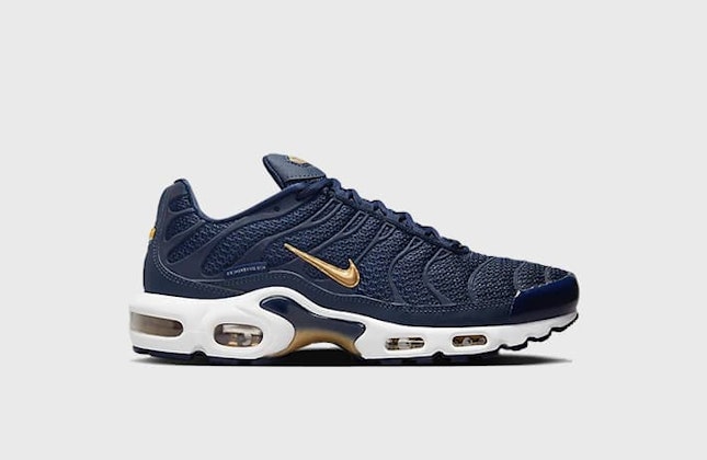 Nike Air Max Plus "FFF" Nike Air Max Plus "FFF"