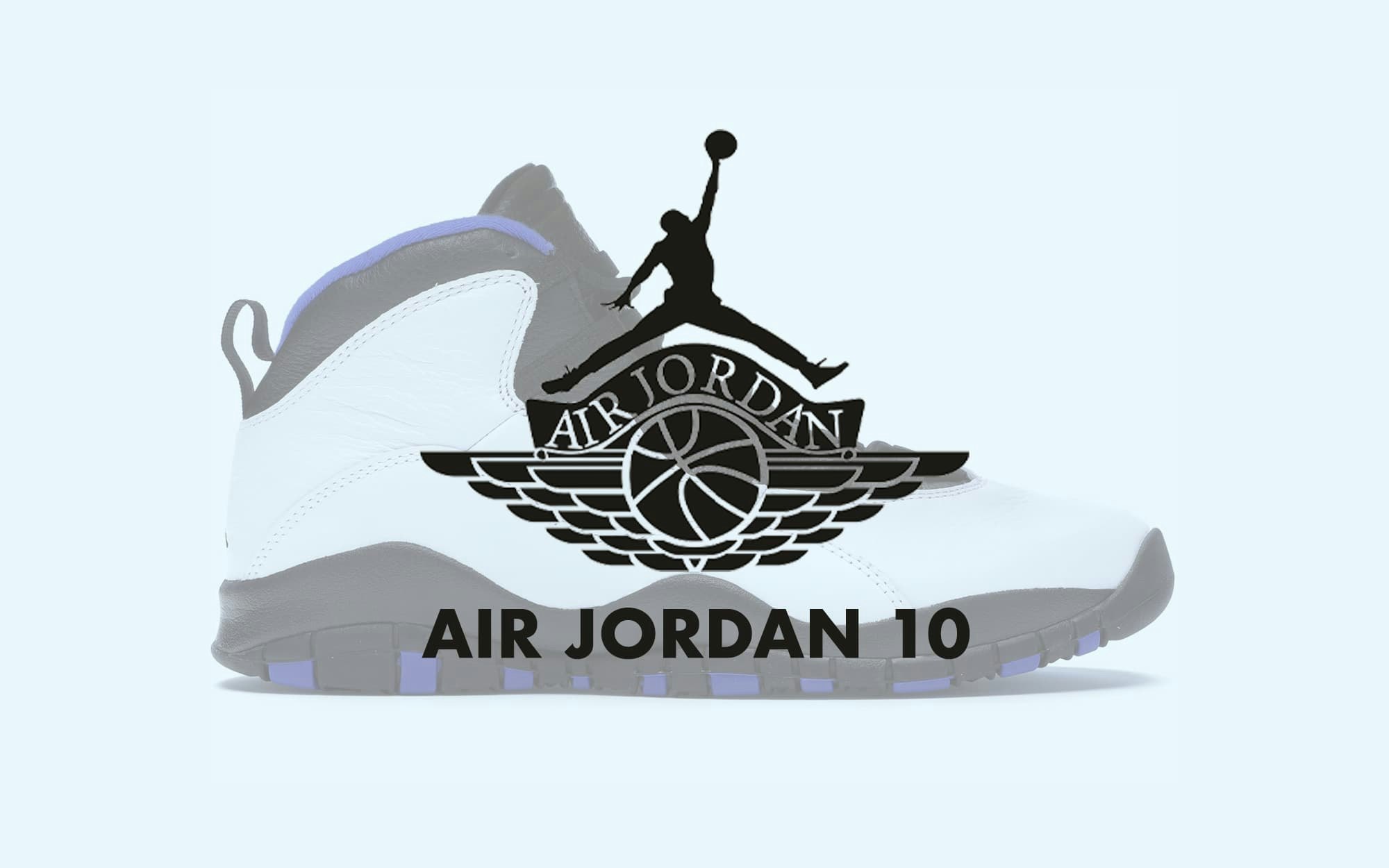 Air Jordan 10