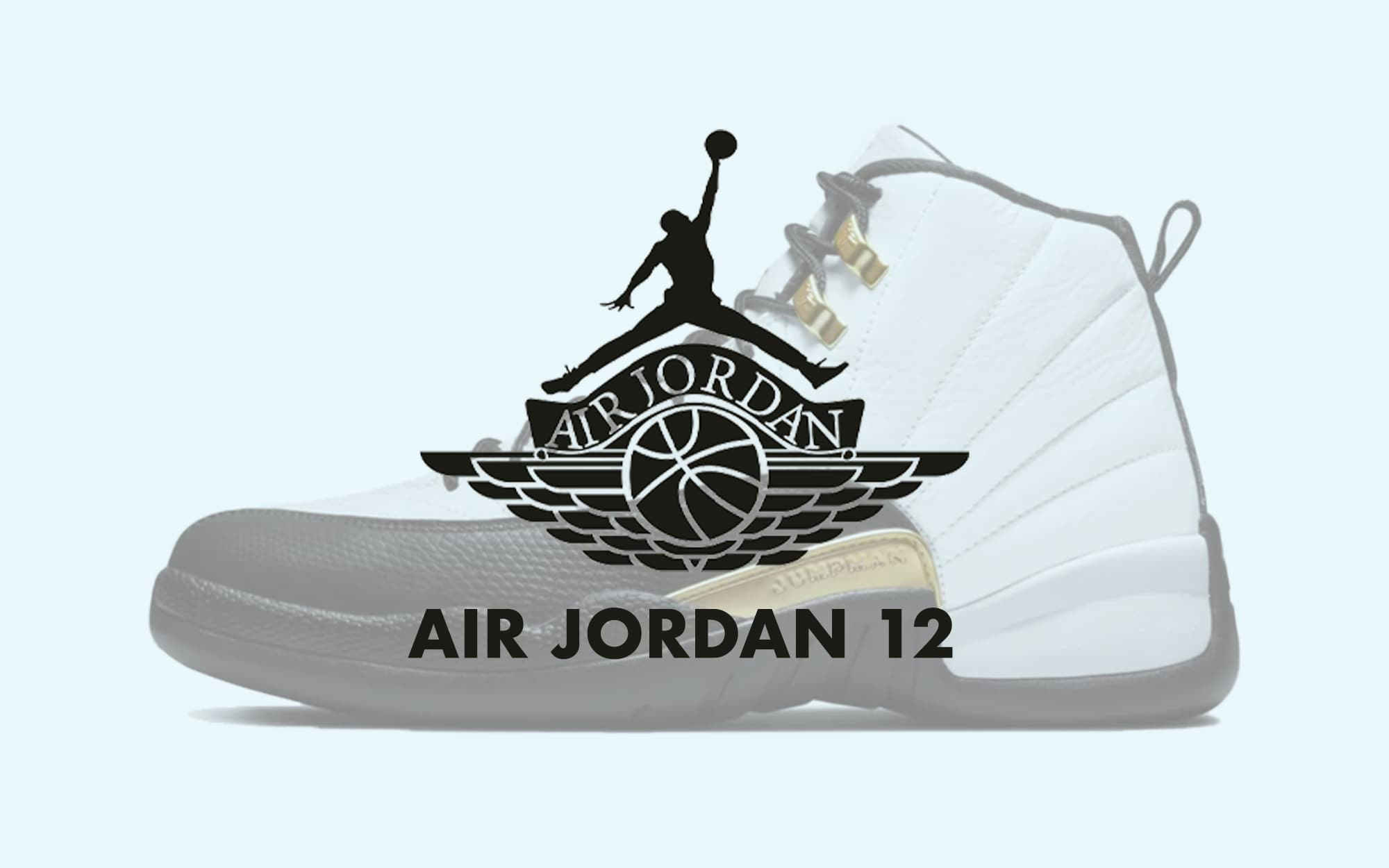 Air Jordan 12