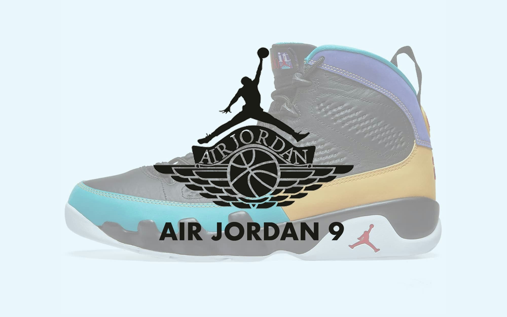 Air Jordan 9