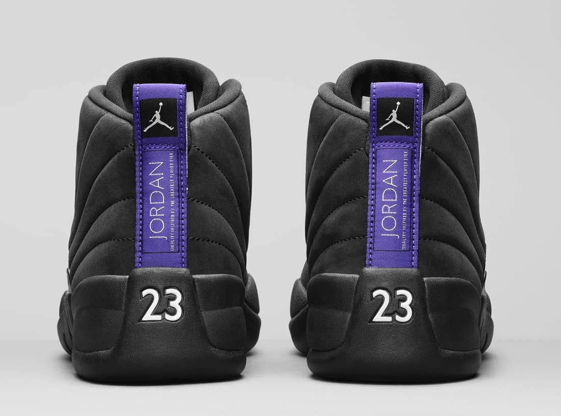 Air Jordan 12 “Dark Concord”