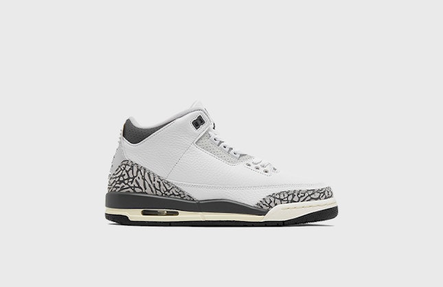 Air Jordan 3 GS "Hide N’ Sneak"
