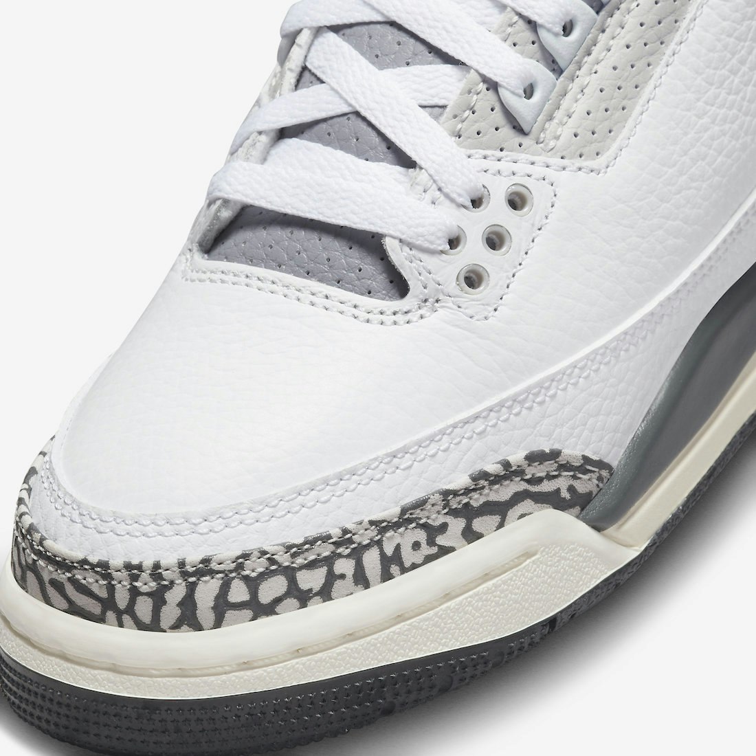 Air Jordan 3 GS "Hide N’ Sneak"